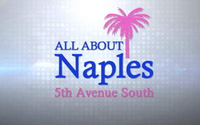 Video Tours of Naples Florida: Fifth Avenue South